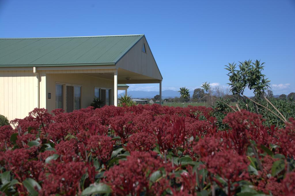 Milawa Muscat Retreat B&B מראה חיצוני תמונה