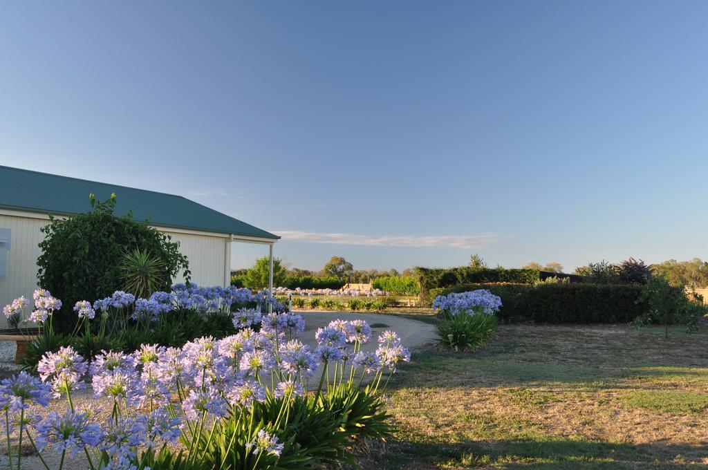 Milawa Muscat Retreat B&B מראה חיצוני תמונה