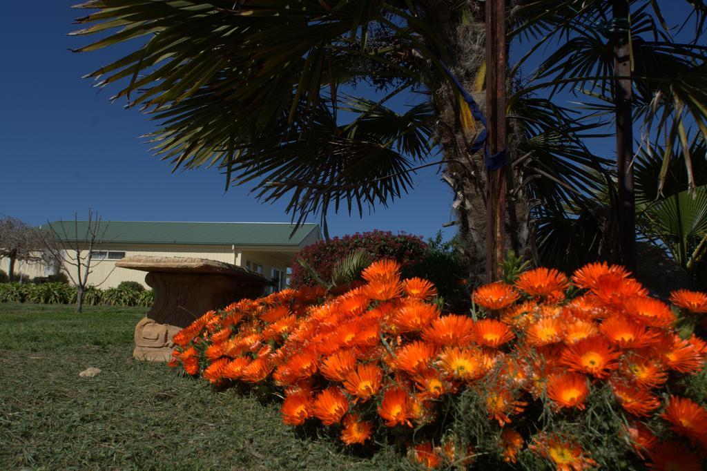 Milawa Muscat Retreat B&B מראה חיצוני תמונה